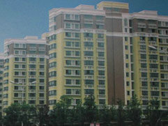 国产AV熟女一区二区三区