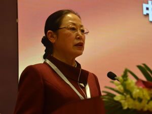 国产AV熟女一区二区三区