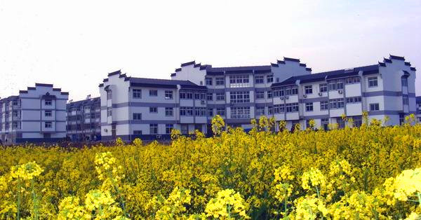 国产AV熟女一区二区三区
