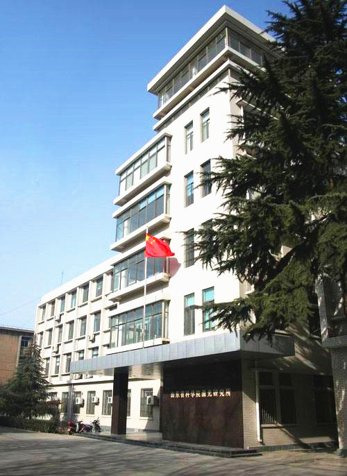 国产AV熟女一区二区三区
