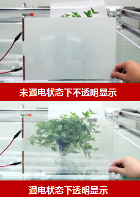 国产AV熟女一区二区三区