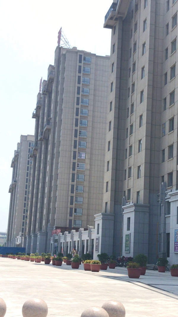 国产AV熟女一区二区三区