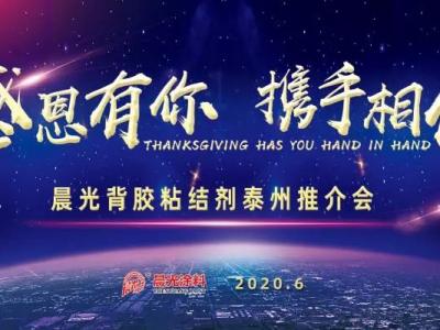 &ldquo;感恩有你 携手相伴&rdquo;，晨光背胶粘结剂泰州推介会圆满举办