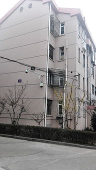 国产AV熟女一区二区三区