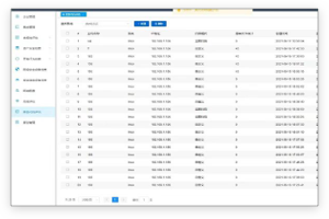 国产AV熟女一区二区三区