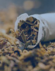 国产AV熟女一区二区三区